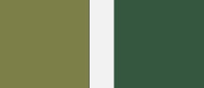 Colours: Pure Olive and Strong Green
